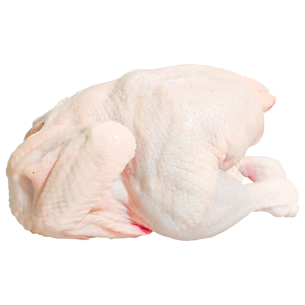 Chicken Meat